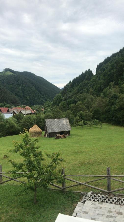 Pensiunea Valea Pinului Rau Sadului Zewnętrze zdjęcie