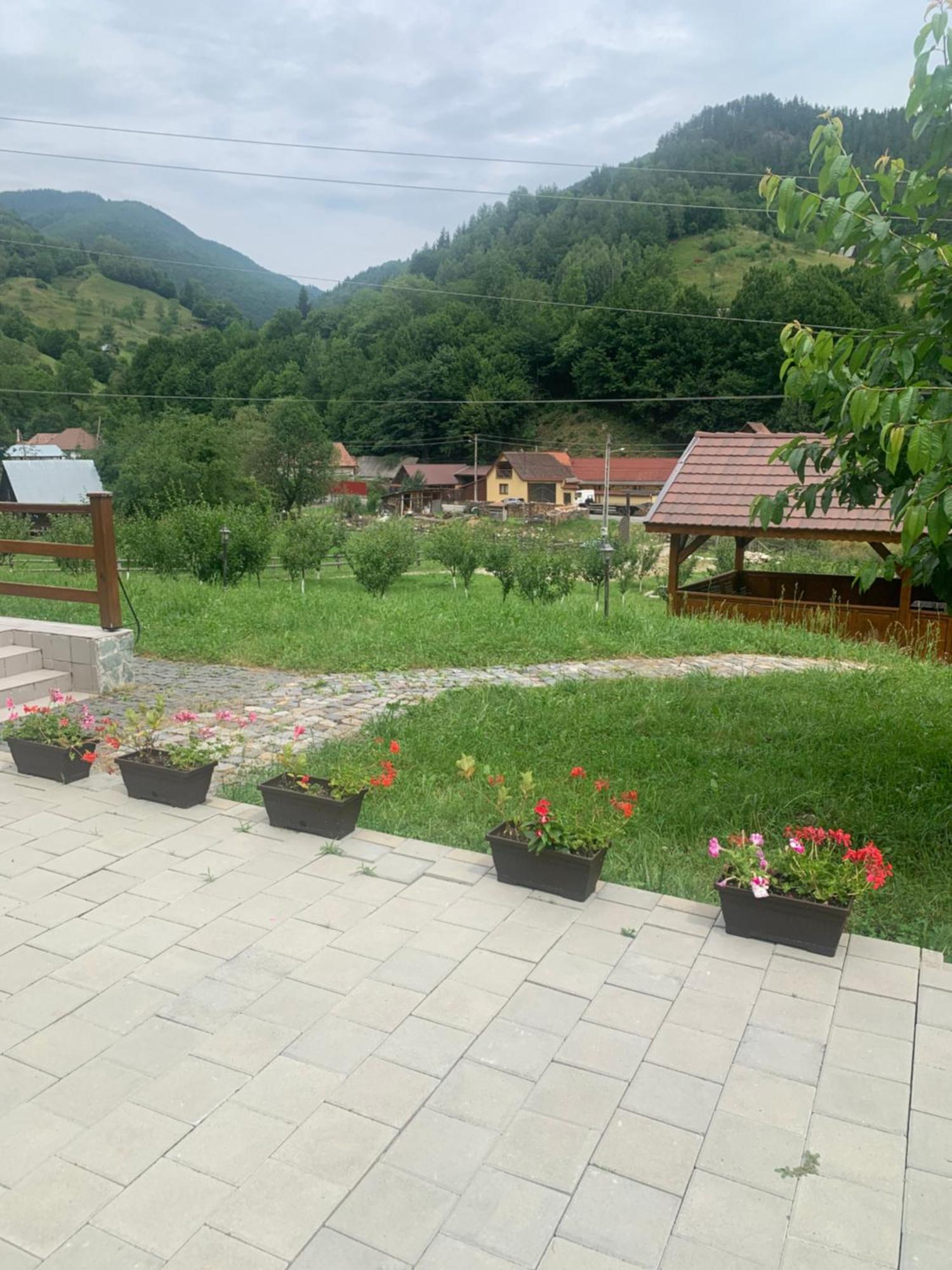Pensiunea Valea Pinului Rau Sadului Zewnętrze zdjęcie