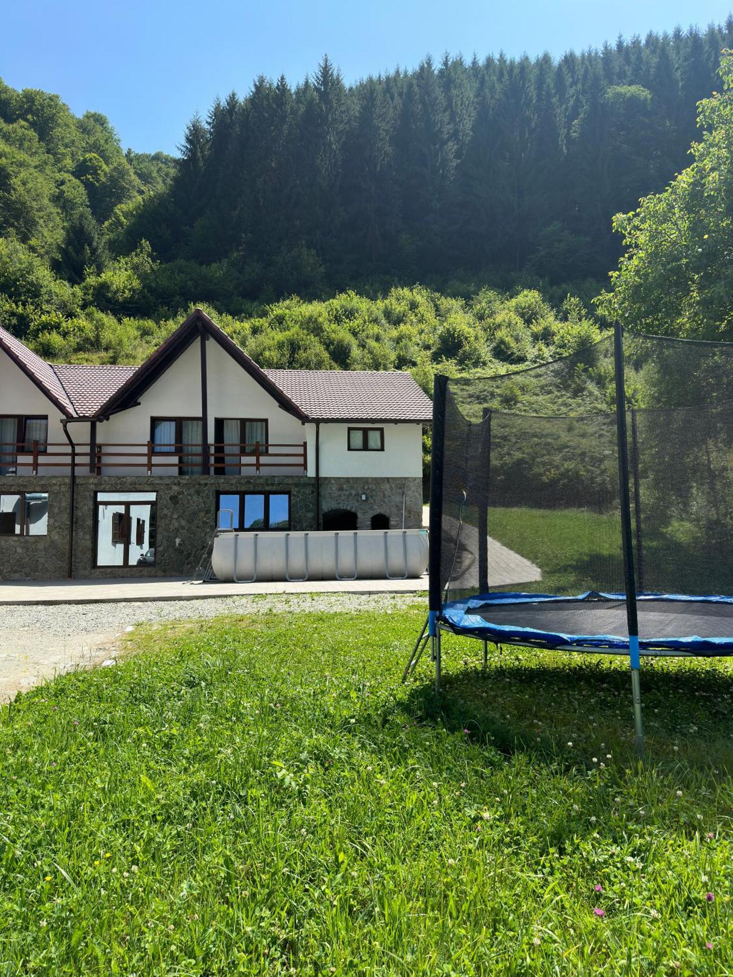 Pensiunea Valea Pinului Rau Sadului Zewnętrze zdjęcie