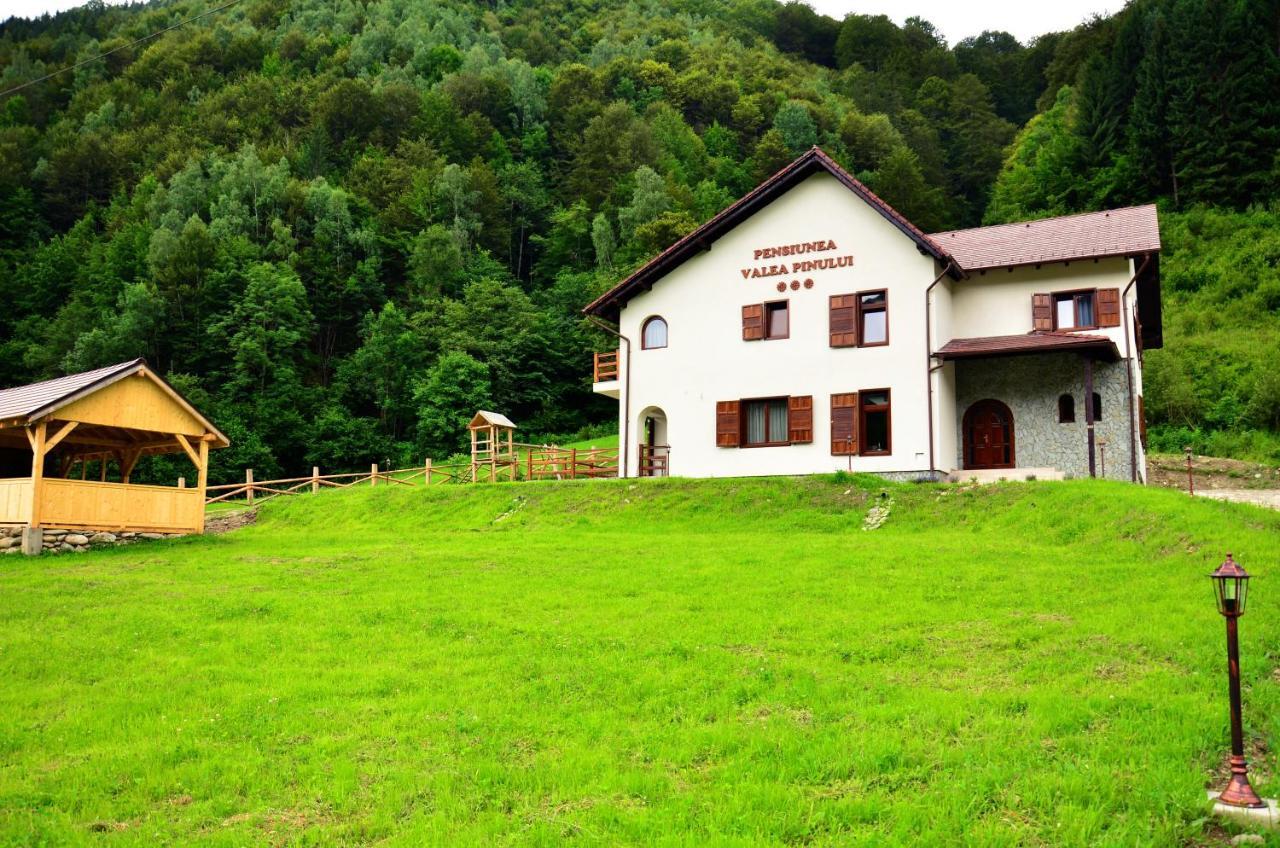 Pensiunea Valea Pinului Rau Sadului Zewnętrze zdjęcie